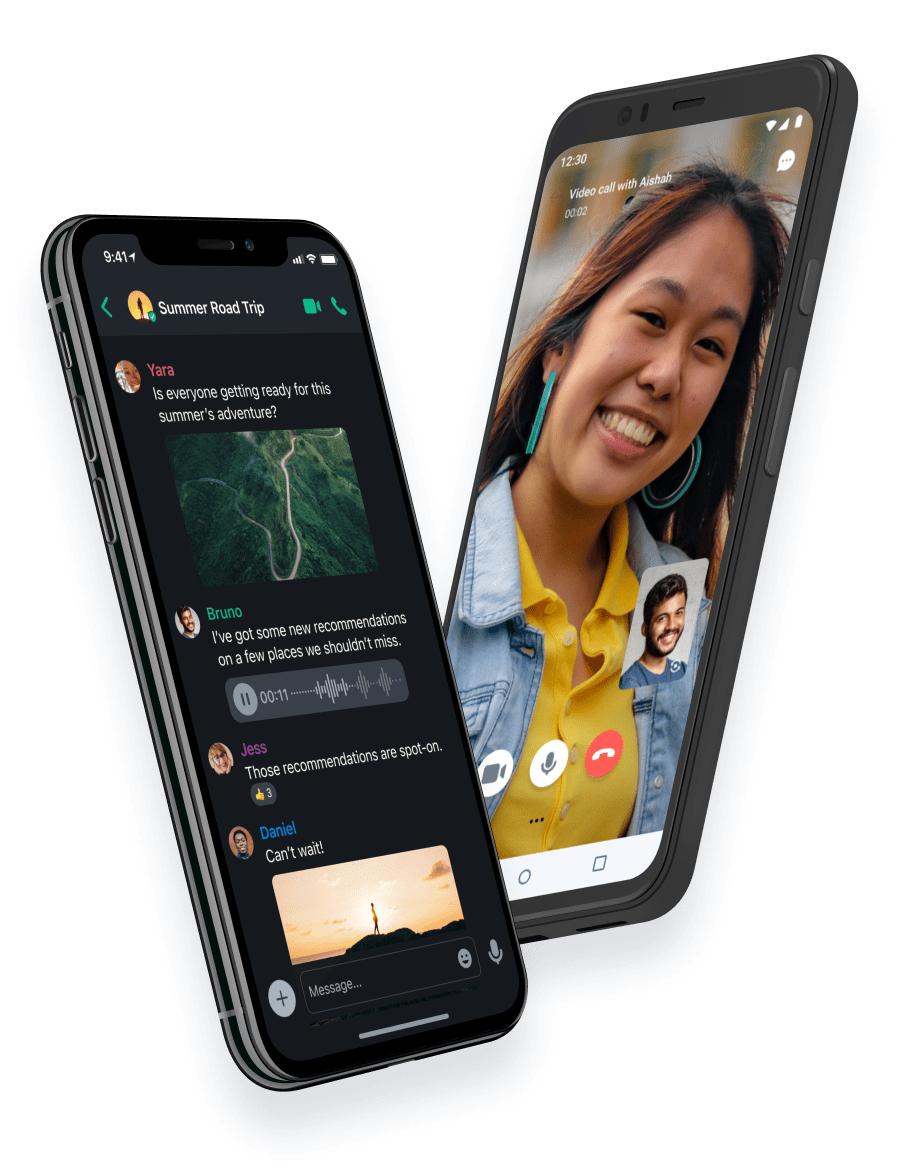 Roomys App displaying text, voice and video chat.